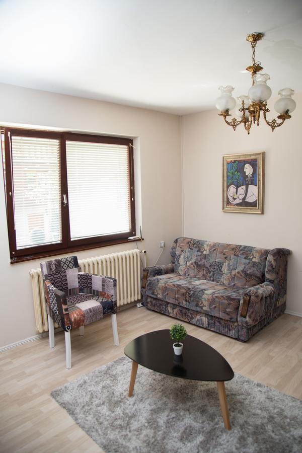 Apartments Cvetkovic Relax Niska Banja Exterior photo